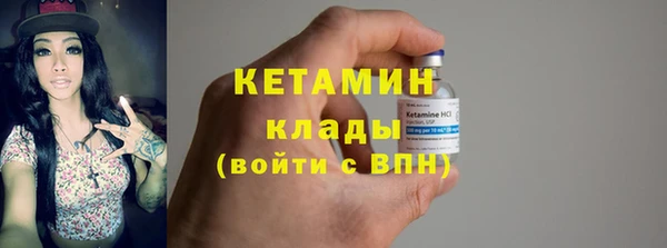 индика Ельня