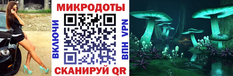 Купить где  Углич  Галлюциногенные грибы GOLDEN TEACHER 